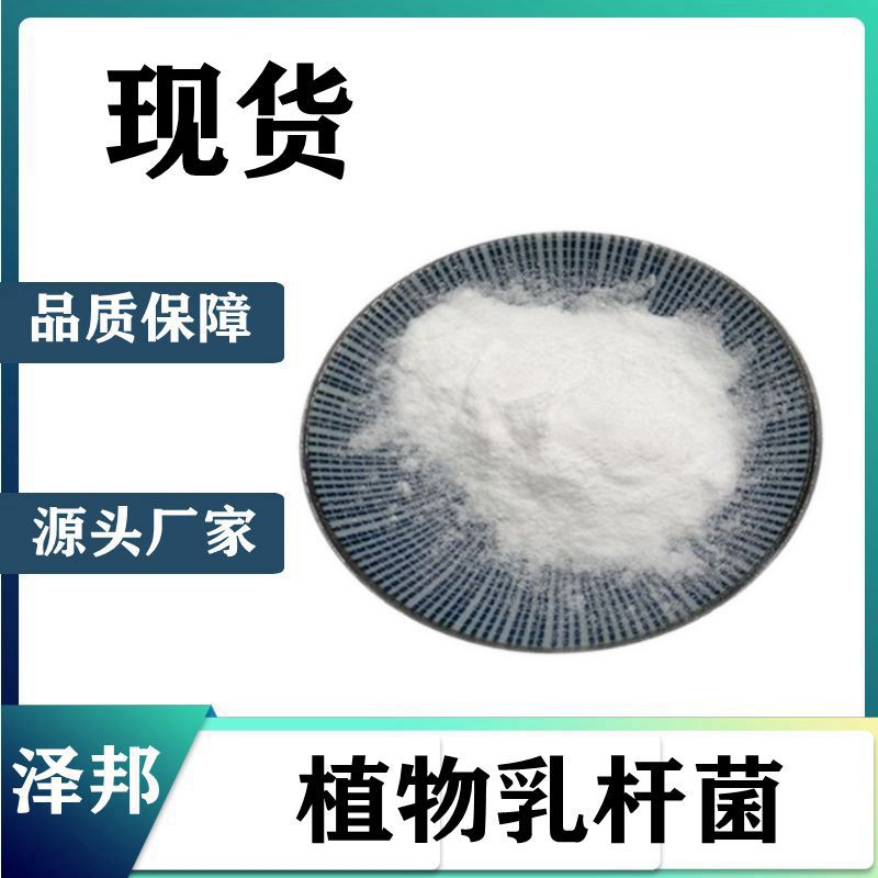 植物乳杆菌 /乳杆菌原料粉 / 泽邦生物 厂家直销 现货包邮