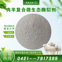 华星生物 肉羊多复合菌酶制剂 羊用多复合酶芽孢杆菌饲料添加剂