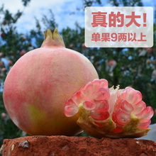 云南蒙自甜石榴 新鲜水果包邮 5斤6斤10斤装 绿籽品种蒙自石榴