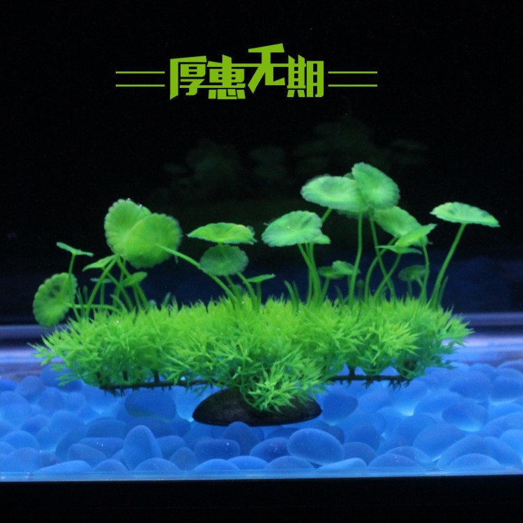 新款鱼缸造景仿真红色水草水族箱装饰假塑料草坪蝴蝶花丛绿色套餐