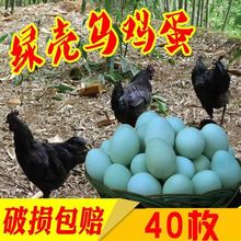 乌鸡蛋绿壳初生20-30克农家土鸡蛋新鲜绿壳一件代发厂家