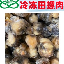 冷冻福寿螺肉 19斤-箱 广州批发螺肉 河螺肉 商用 酒店中厨 商用