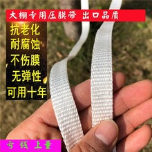 大棚压膜绳配件用品大全加厚绳子压膜带抗老化压膜线专用防风绳