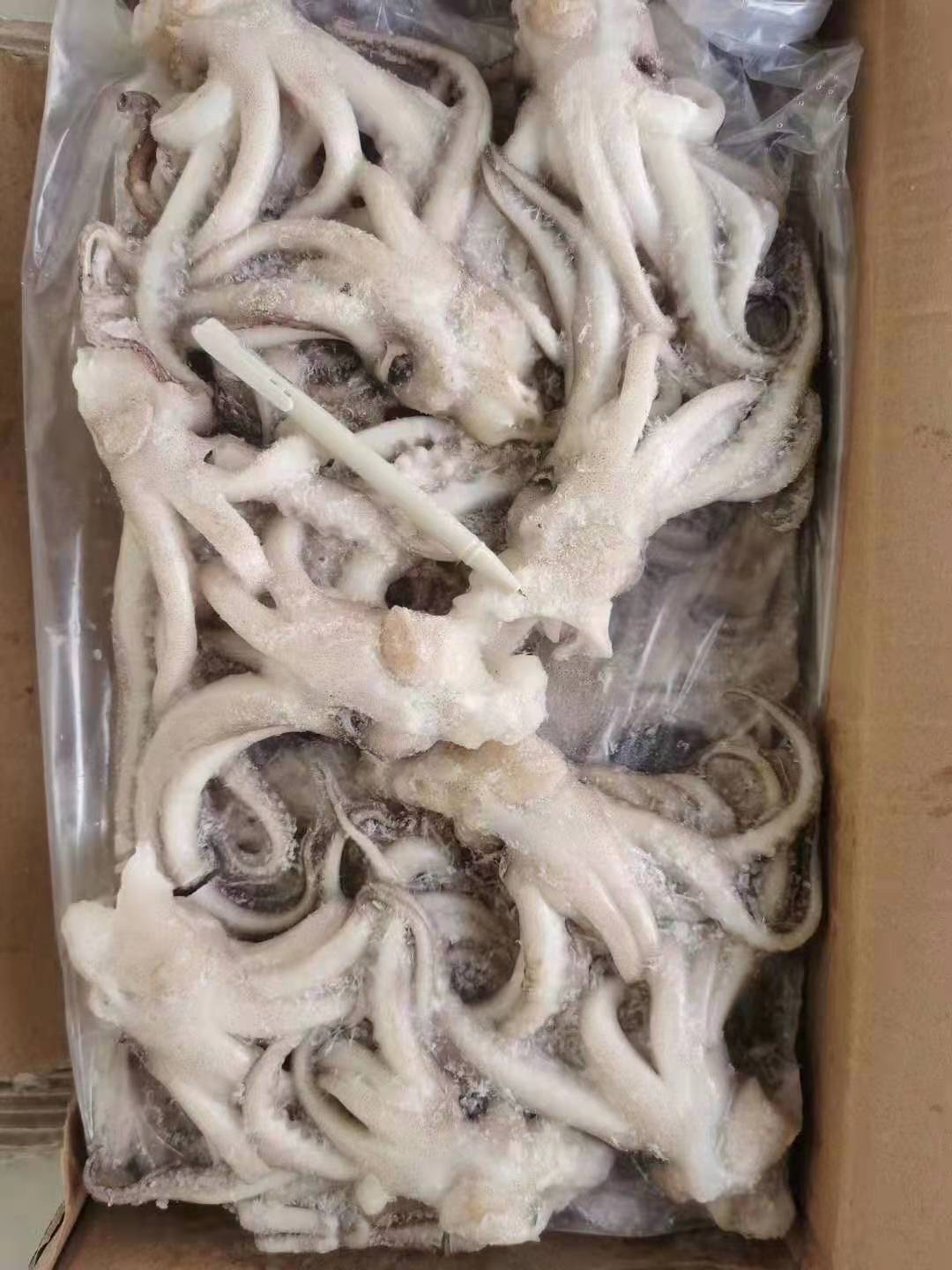 冻货海鲜冷冻品批发鱿鱼头八爪鱼牛角花目鱼花