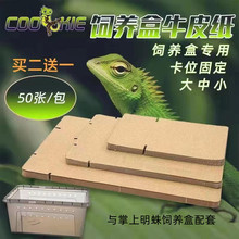 牛皮纸爬宠爬宠用品垫材爬虫饲养盒配套垫纸蜥蜴A6掌上名蛛宠物