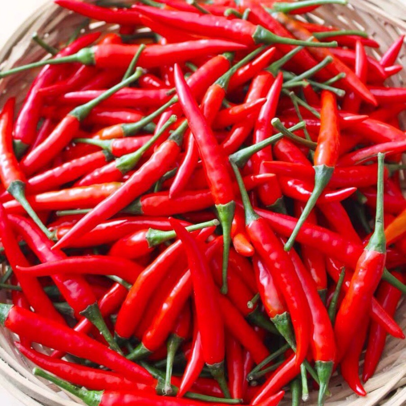 小米辣现摘新鲜广东红辣椒菜椒剁椒辣椒酱农家特辣辣椒辣椒办公室