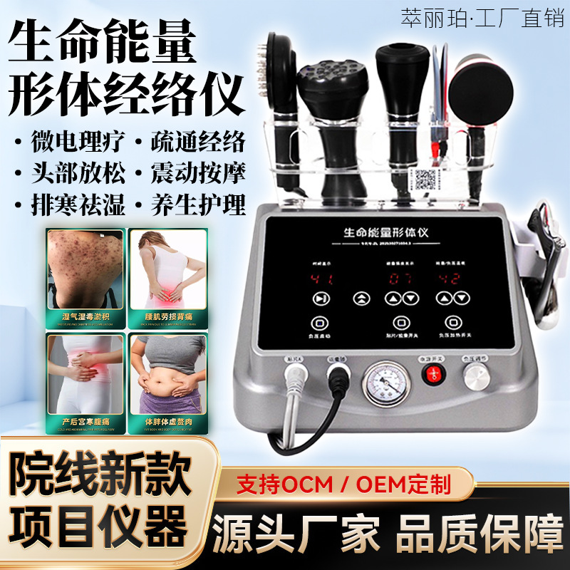 麦嘉欣昕头疗生命能量形体抗衰仪刮痧理疗三通大师dds经络萃丽珀