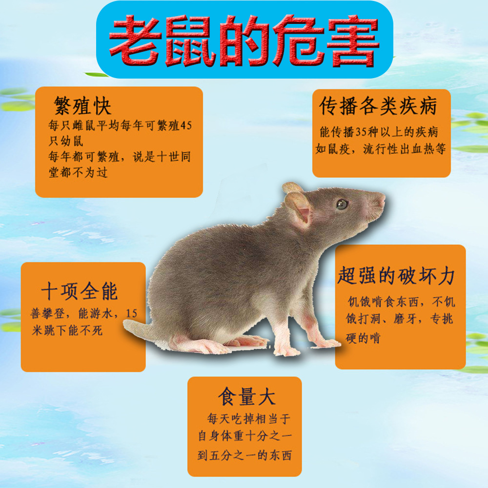 千度心小号彩色塑料老鼠夹机关笼捉老鼠陷阱飞扬盛世电商一件代发