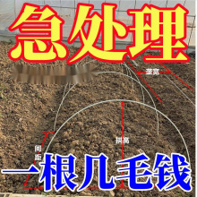 新型拱棚支架地膜防虫大棚高强杆子米弓条拱形棚架菜棚温室