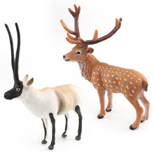 跨境仿真野生森林动物模型儿童科教认知藏羚羊梅花鹿装饰摆件玩具