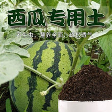 西瓜专用土西瓜土土有机土养花泥土壤通用种植土透气配方肥料