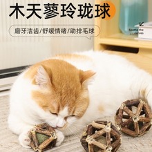 木天蓼猫薄荷逗猫棒猫玩具自嗨解闷猫草球薄荷球猫咪小磨牙棒