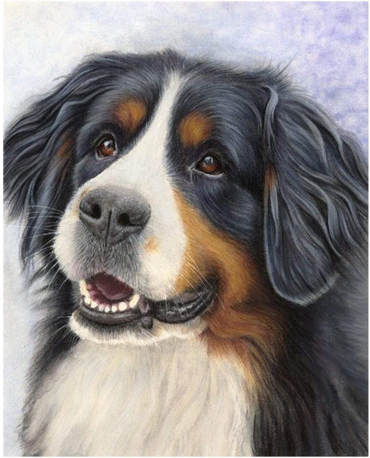 瑞士伯恩山犬长毛小黑狗动物钻石画