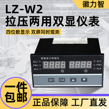 徽力智LZ-W2双窗口智能显示仪表LED屏幕传感器称重拉压两用控制器