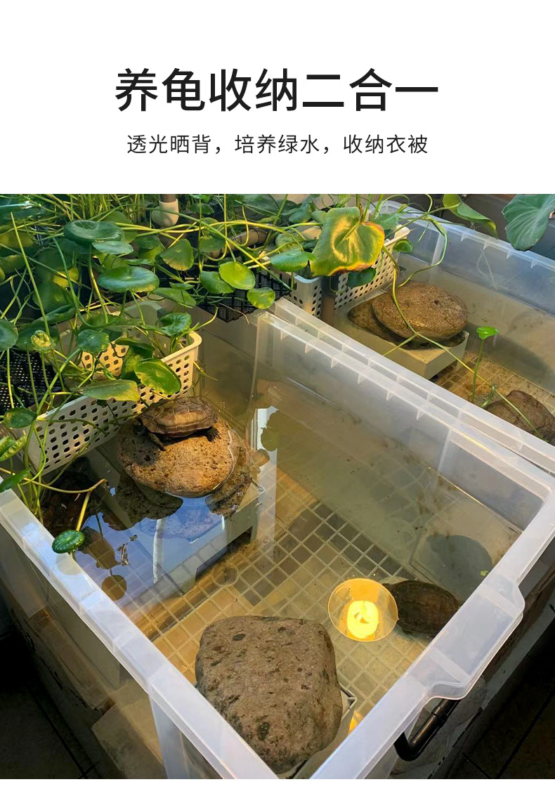 长方形直角塑料加厚收纳箱学生书本文件资料储物箱全透明养龟箱子