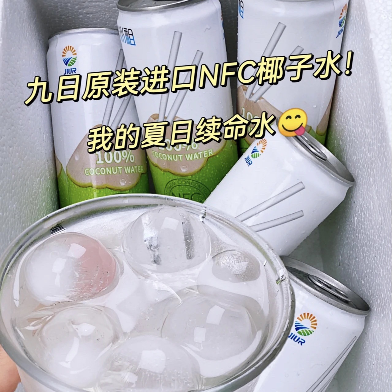 九日冰祖椰子水320ml*24罐越南进口超市便利店批发九日冰祖椰子水