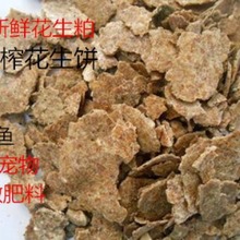 山东新鲜熟榨花生饼鱼饵花生枯花生麸钓鱼打窝鱼饵花肥饲料原料