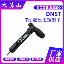 厂家供应DNST T型数显扭矩起子 五金工具电动螺丝起子