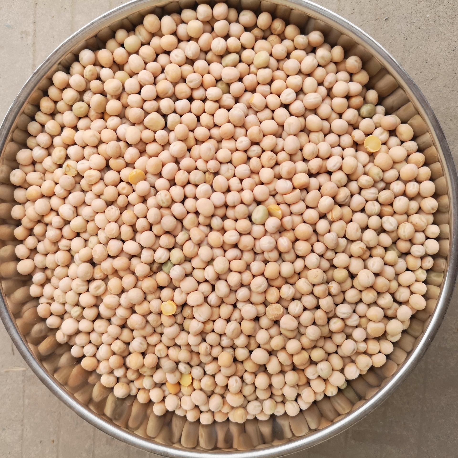 加拿大白豌豆-加拿大白豌豆厂家,品牌,图片,热帖-阿里巴巴