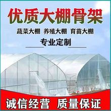 农用棚蔬菜种植大棚养猪大棚塑料大棚塑料棚加工养殖育苗保温大棚