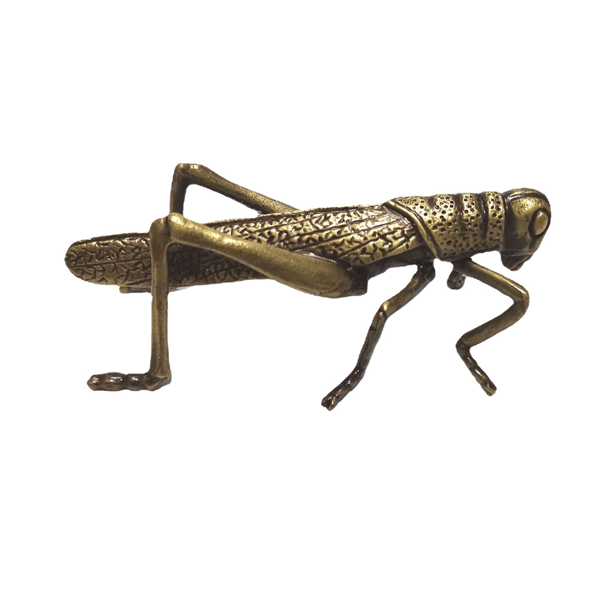 纯铜现代仿真蚂蚱昆虫摆件家居酒柜茶几屏风柜办公桌书房小摆件