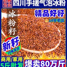 冰粉籽四川野生冰籽配料全套手搓气泡冰粉爱玉籽材料商用木瓜糍粑