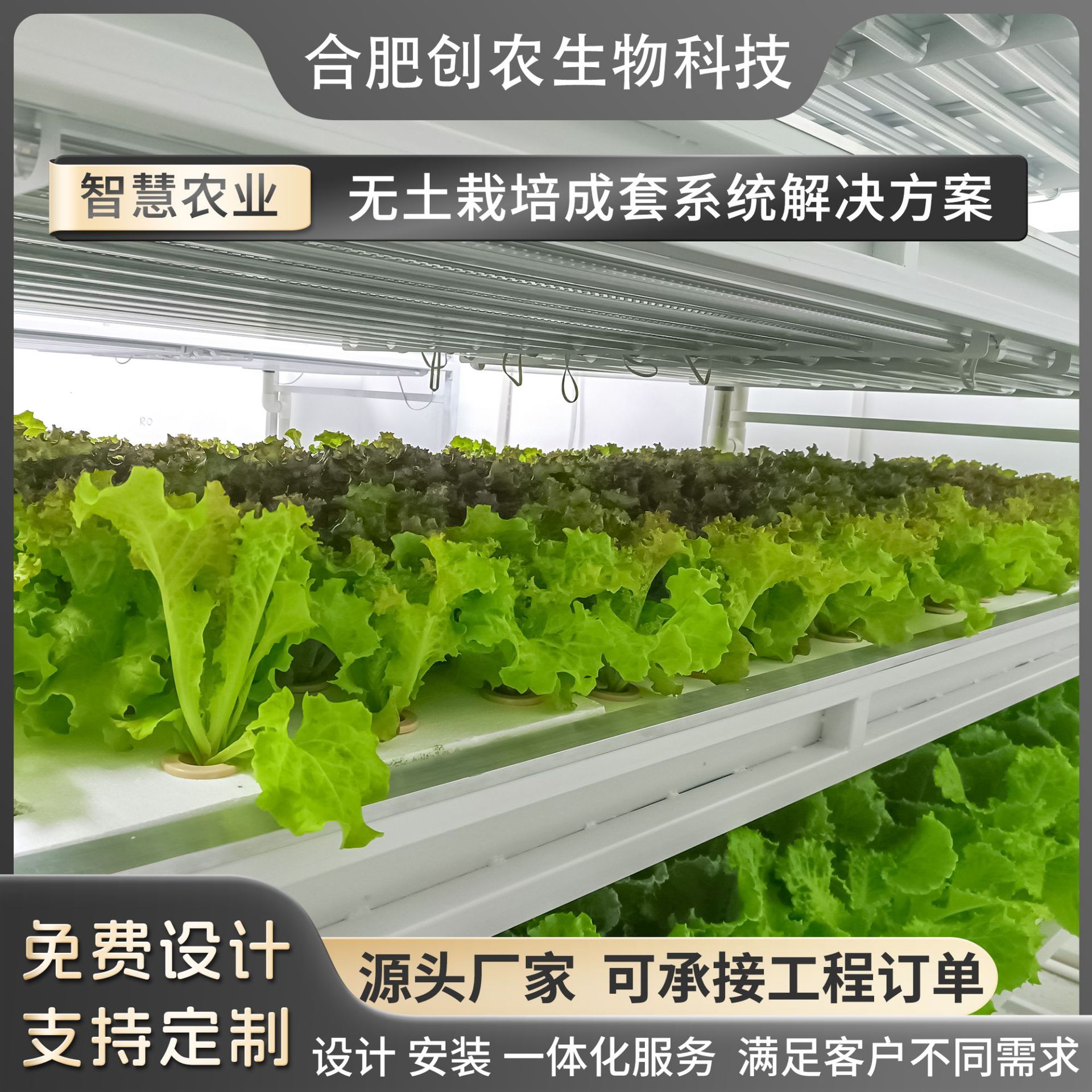 立体栽培育苗种植架无土栽培设备实验室校园水培蔬菜温室大棚展厅