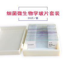 20种微生物切片套装细菌类生物切片细菌微生物类生物切片