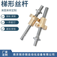 生产梯形丝杆 南京梯形丝杆生产厂家 铜螺母 T型丝杆 Tr40x14