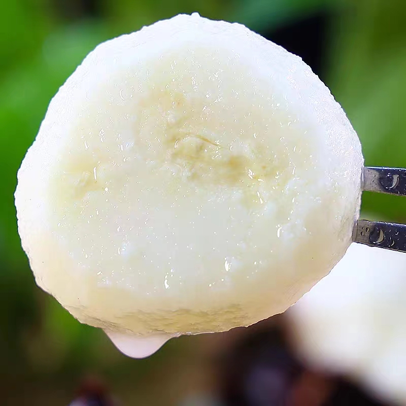 ly广西荔浦马蹄 种植新鲜现挖荸荠包邮5斤中果脆甜无渣水果蔬