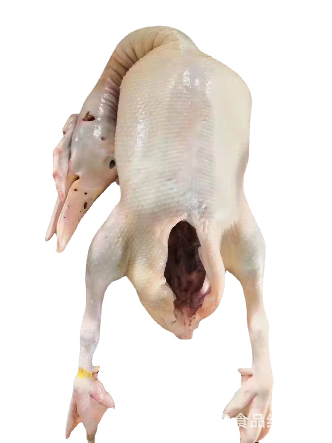 白条鸭 白条老鸭 种鸭 蛋鸭 山东玖零全净膛白条老鸭 去油肺心肝