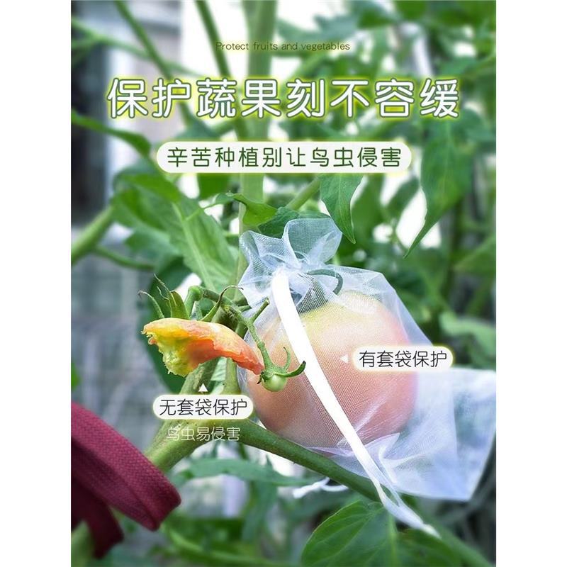 水果保护袋草莓防鸟防虫网眼袋西红柿番茄葡萄专用网套袋网眼袋子