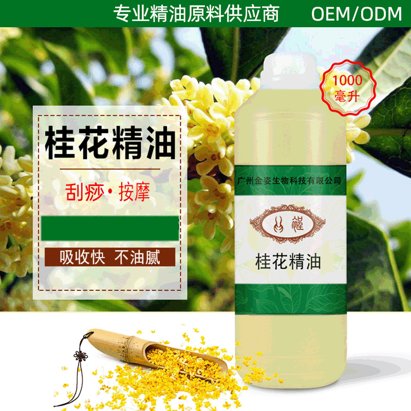 复方桂花精油身体按摩精油芳香精油spa美容院按摩油身体精油