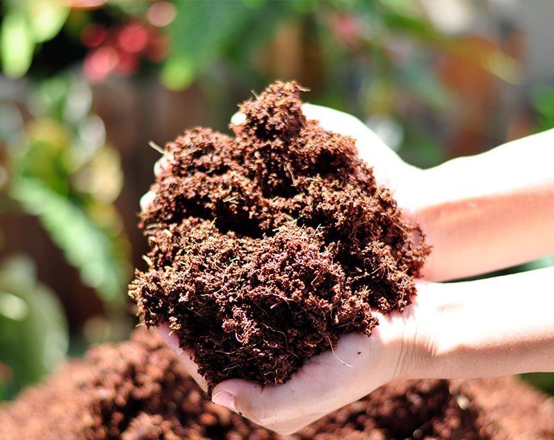 椰砖营养土椰糠椰土养花种菜基质肥料椰壳砖多肉营养土