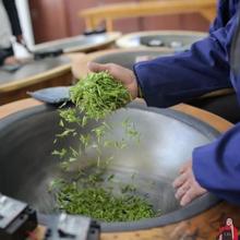 手工炒茶叶电炒锅普洱龙井温控炒茶锅茶机茶油小型家用手动烘焙杀