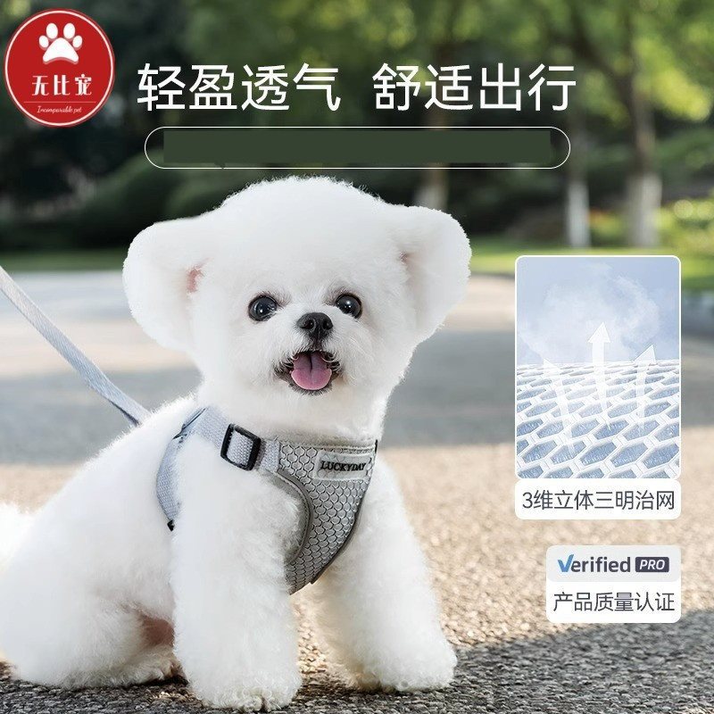 小狗狗绳狗链牵引绳胸背带泰迪博美比熊茶杯俊介小鹿犬雪纳瑞银狐