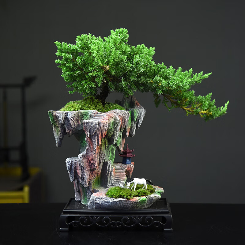 飘枝造型珍珠柏盆栽室内客厅茶室好养办公室中式复古盆景绿植礼品