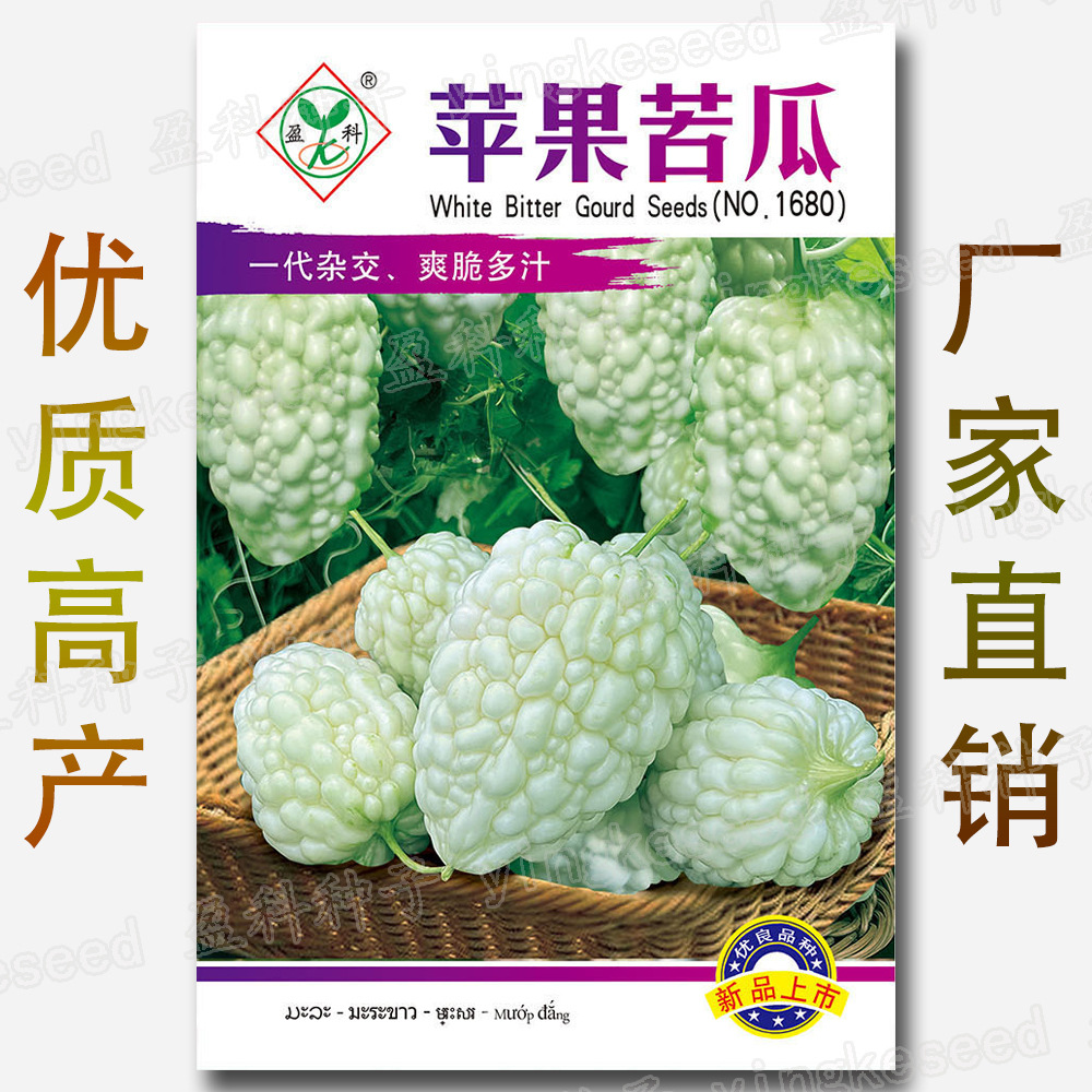 苹果苦瓜种子 爽脆多汁 苦瓜籽 苦瓜种籽 一代杂交 春季水果种子