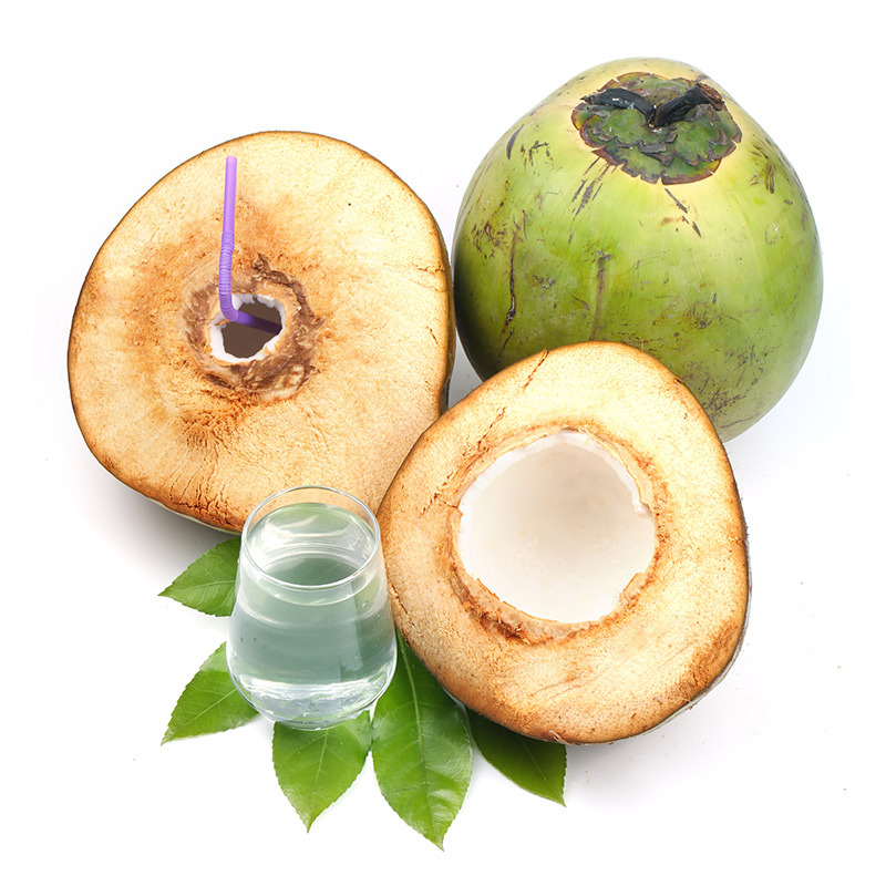 【10减5】海南带皮椰子青椰孕妇水果晴天多汁新鲜绿皮椰青整箱发