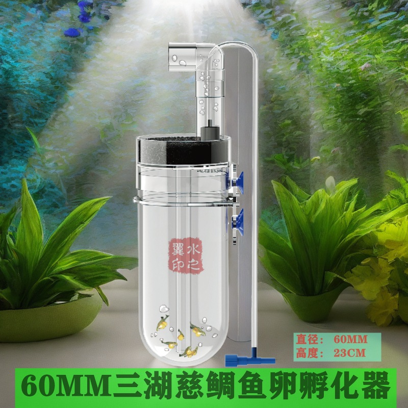 现货-直径60MM三湖慈雕鱼卵孵蛋器热带鱼虾卵繁殖异型鱼孵化底栖