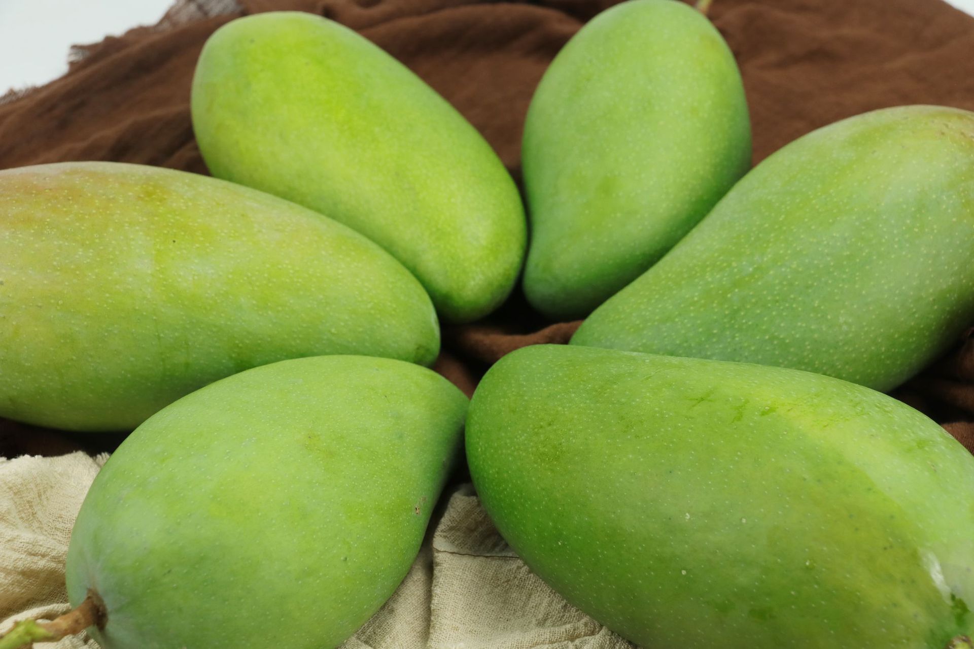 产地货源 天天果源越南大青芒9斤大金煌芒果大果新鲜当季水果批发