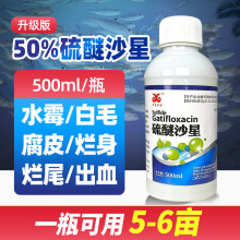 50%硫醚沙星鱼塘鱼药水霉病水产养殖专用蟹虾白毛烂身水族杀菌药