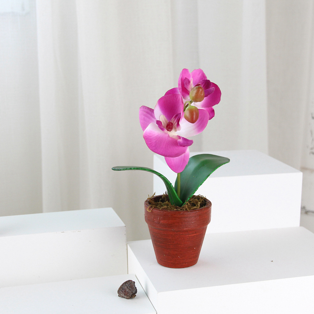 新款 仿真迷你蝴蝶兰混色盆景工艺品 纸浆花盆桌面小装饰-阿里巴巴
