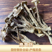 鹿茸菇厂家直销  鹿茸菌菌汤包打火锅食材250克广式汤料干货批发