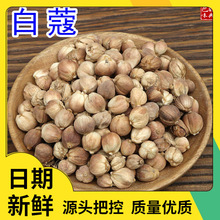 白寇 白扣碎 白扣子 白豆蔻 白蔻仁 香料调料大全 调味品 卤料50g