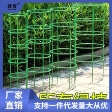 园艺支架升级加厚可无限叠加爬藤杆花架花卉植物支撑架子支撑杆