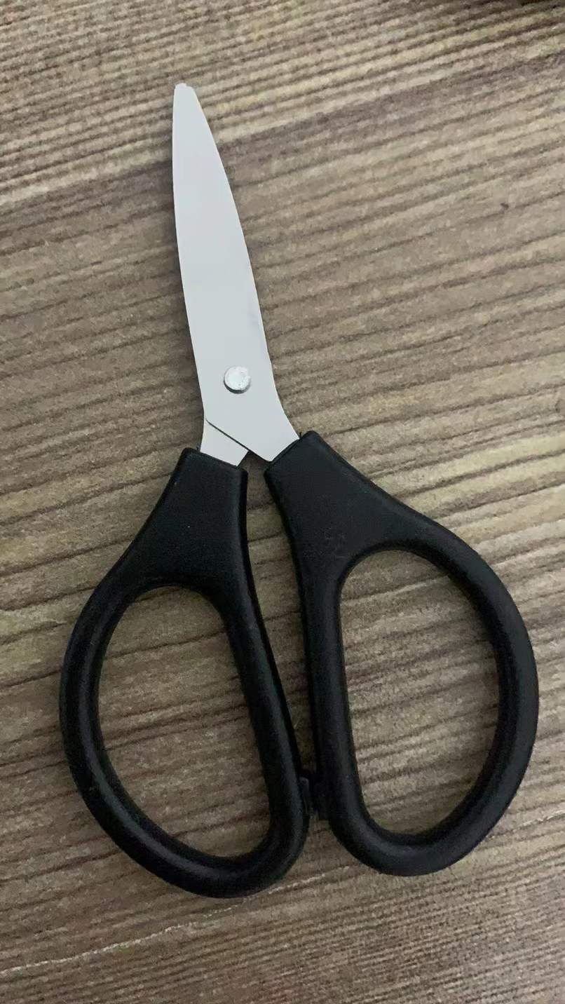 Factory in Stock Wholesale Student DIY Handmade Small Scissors Children's Scissors Mini Stainless Steel Small Scissors