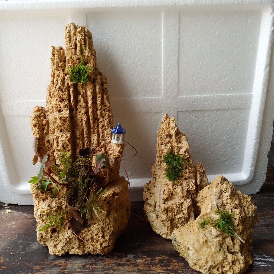 天然上水石吸水石盆景 假山盆景 奇石原石微景观造景家居办公装饰