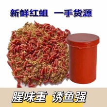 冰钓鱼蛆活蛆红色蛆虫鱼饵苍蝇宝宝鱼饵白蛆钓小公鱼肉蛆牙子蛆至