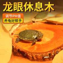 养龟休息晒背台龟缸造景沉木摆件免煮龙眼绿叶乌龟天然龙眼木晒台